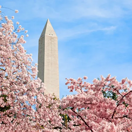 Hyatt Place Washington Dc/White House-2