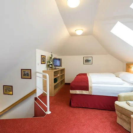 Hotel Gisela-3