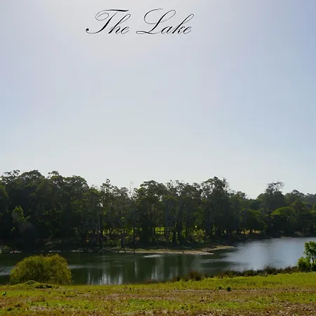 Harmony Forest Cottages & Lake Side Lodge-3