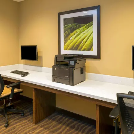 Microtel Inn & Suites By Wyndham Red Deer-3