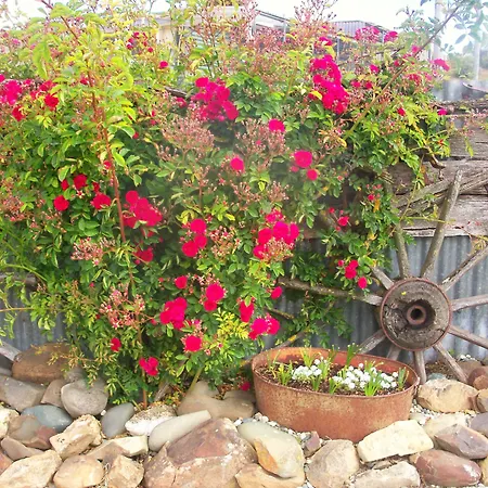 The Reservation B&B-2