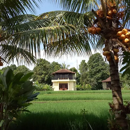 Atres Villa-2
