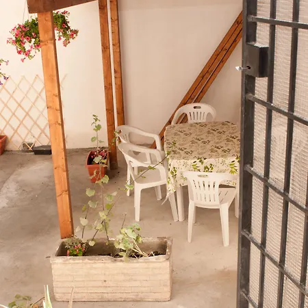 Dandi Domus-2