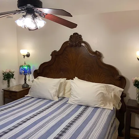 The Woods Hotel - Gay Lgbtq Cabins-2