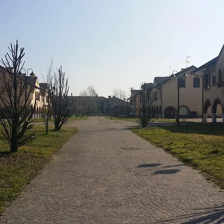 Central-2