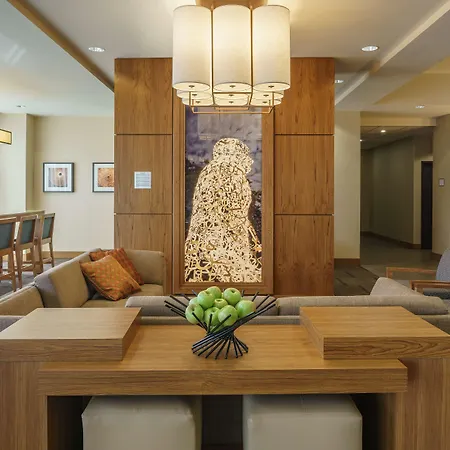 Hyatt Place Houston Galleria-3