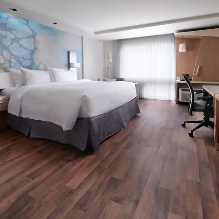Courtyard By Marriott Dallas Plano/The Colony-3