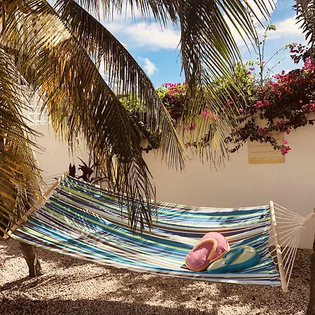 Karibu Aruba Boutique Hotel-3