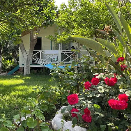 Bellerofon Beach Otel-2
