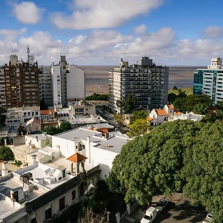 Own Montevideo-2