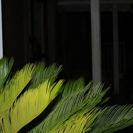 Hotel Diana-2