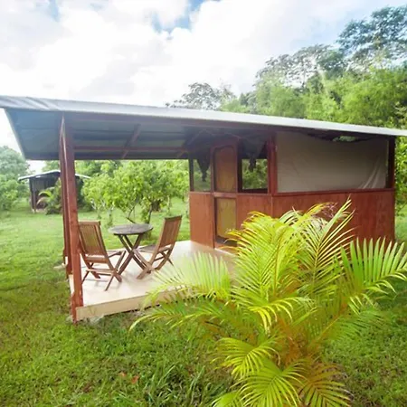 Kirpal Meditation And Ecological Center-2