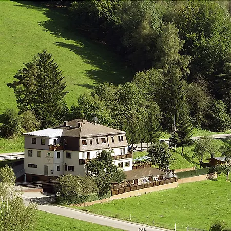 Hotel Grüner Baum mit Restaurant&Wellness-2