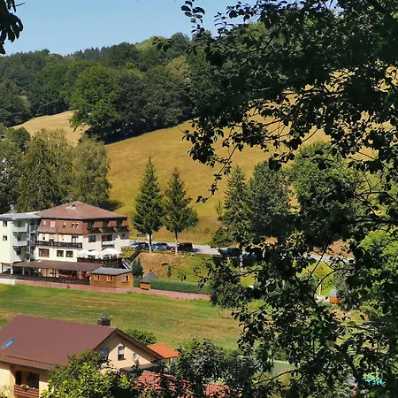 Hotel Grüner Baum mit Restaurant&Wellness-3
