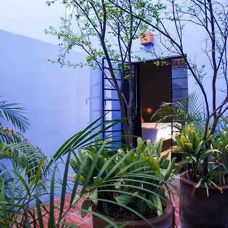 Bungalows Demetria-3