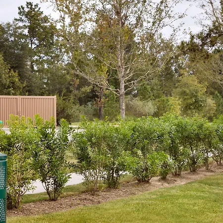 Home2 Suites By Hilton Shenandoah The Woodlands-3