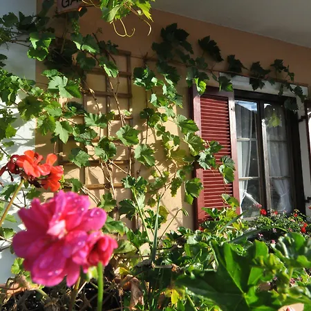 Hotel Garni Otto Huber-3