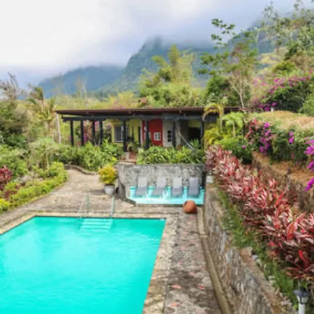 The Golden Frog Inn-2
