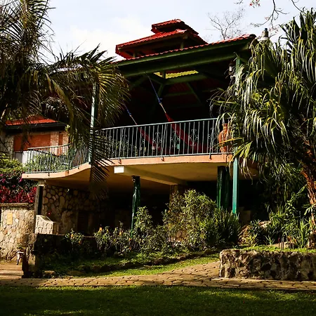 The Golden Frog Inn-2