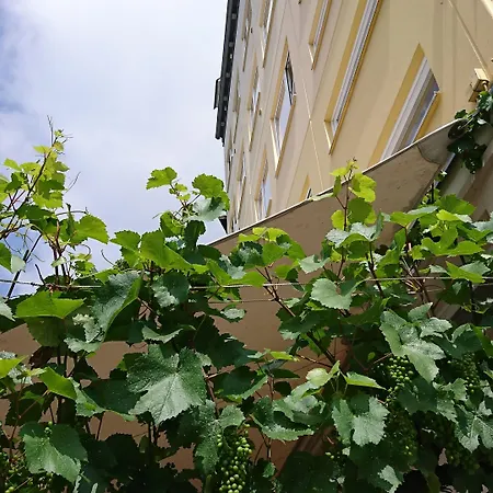 Hotel Pinger-3