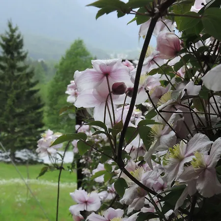 B&B Pranzaira-3