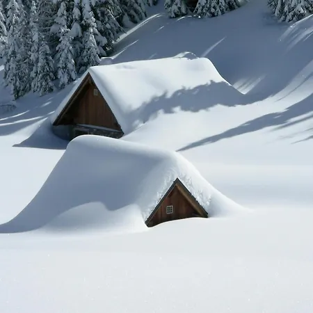 Hotel Forsthof-2