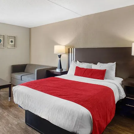 Surestay By Best Western Greenville-3
