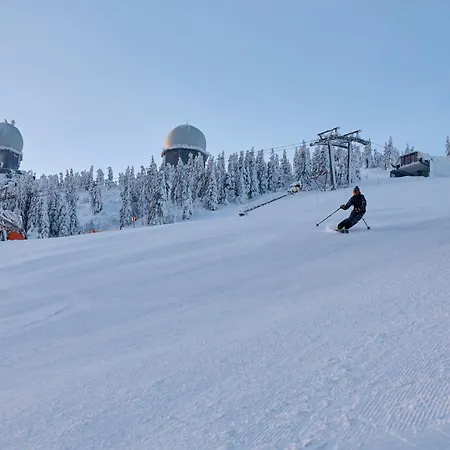 Berghotel Mooshütte Naturidyll auf 950m-2