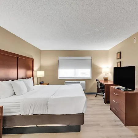 Comfort Suites Lakewood - Denver-2