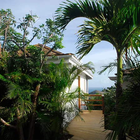 Gyp Sea Saint Barth-3
