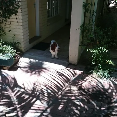 Ladybrand Guest House-3