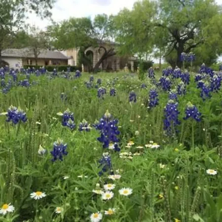Live Oaks Bed And Breakfast-2