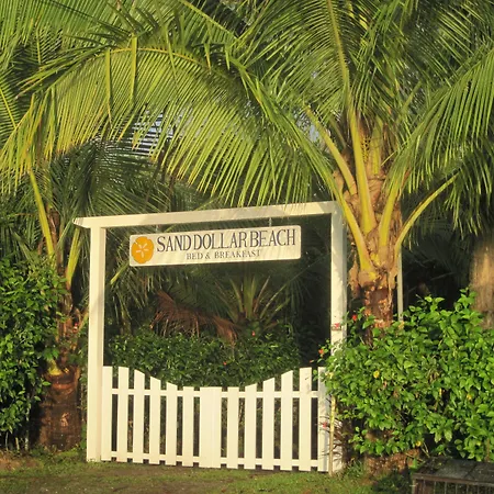 Sand Dollar Beach Bed&Breakfast-2