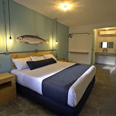 Mas Basico Hotel-3