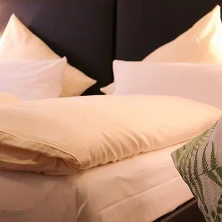 Baum'S Rheinhotel-2