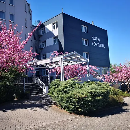 Hotel Fortuna Reutlingen-Tübingen-3
