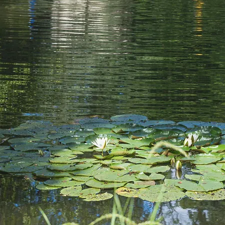 Domaine De La Residence - Hotel, Spa & Restaurant-2
