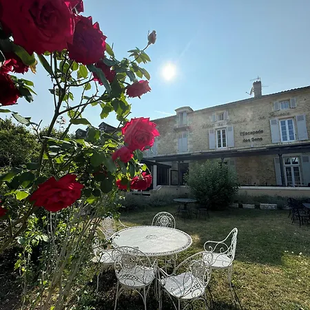 Hotel De France Et De Russie-2