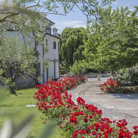 Villa Nichesola-3