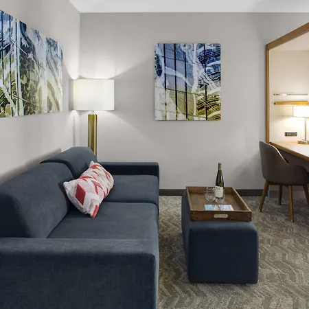 Springhill Suites By Marriott Kansas City Lenexa/City Center-3