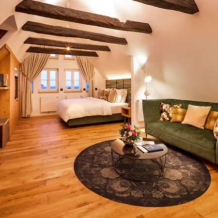 Hotel Brunnenhaus Schloss Landau-2