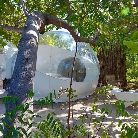 Rock And Sea Resort-3