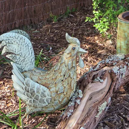 Honeyeater Cottage-2
