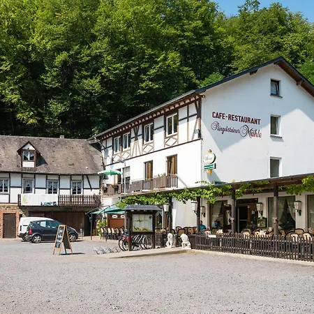 Landhotel Ringelsteiner Muehle-3