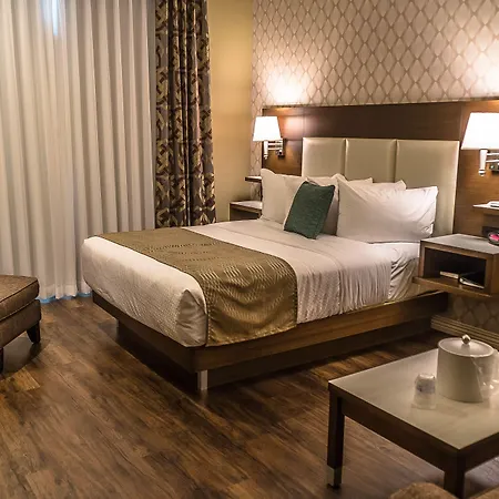 Best Western Plus St. John'S Airport Hotel And Suites-2