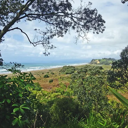 Ohiwa Seascape Studios-3