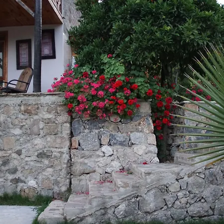 Lycia Nature House-3