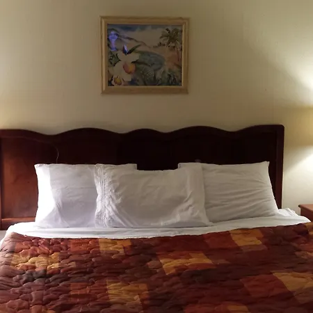 Shiny Motel-2