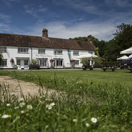 The White Horse-3