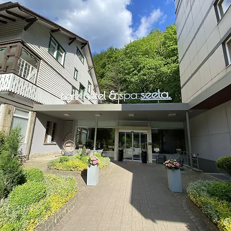 Harz Hotel & Spa Seela-2